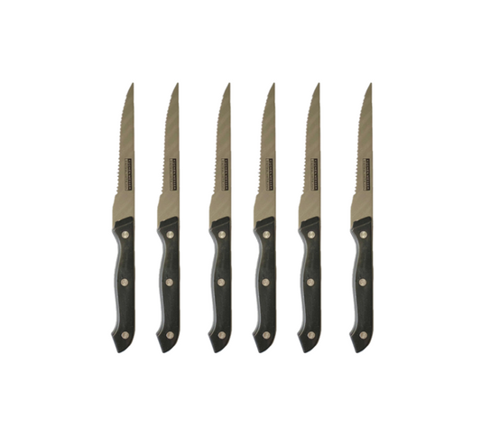 Metal Kitchen Fruit Knife 22.5cm Pack of 6 Plastic Handle 8004
