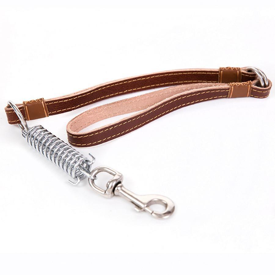 Pet Dog Leash Lead with Spring Buckle Clip 51cm Assorted Colours 4620