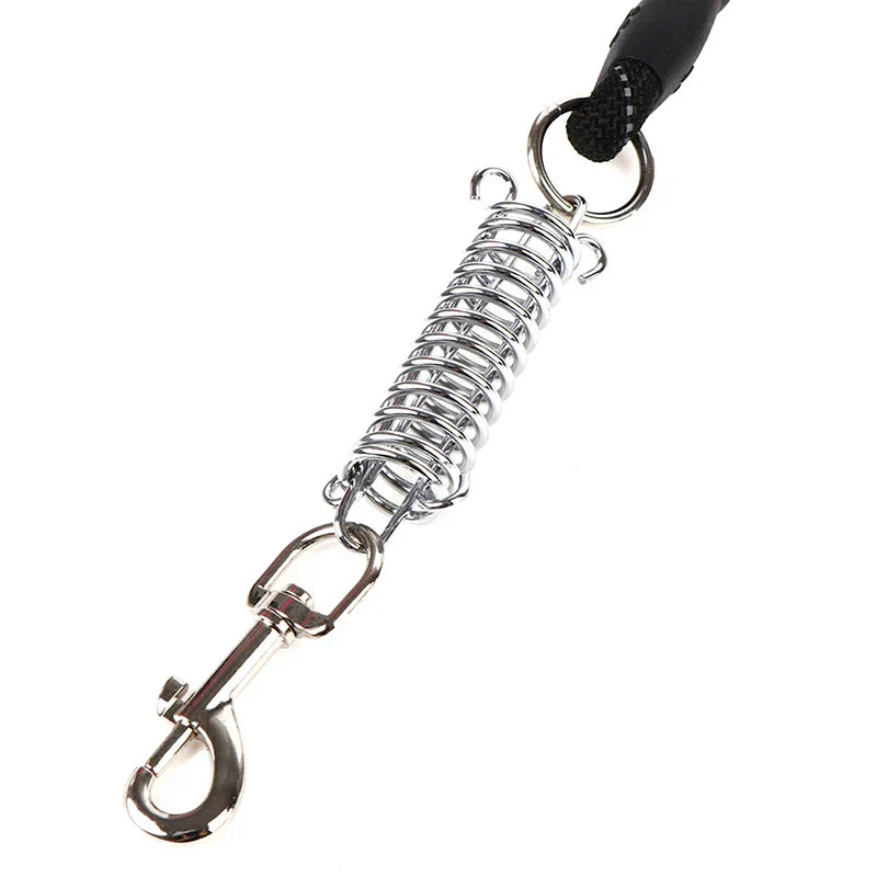 Dog Leash Lead Rope Foam Grip Steel Spring Buckle Clip Assorted Colours 6717