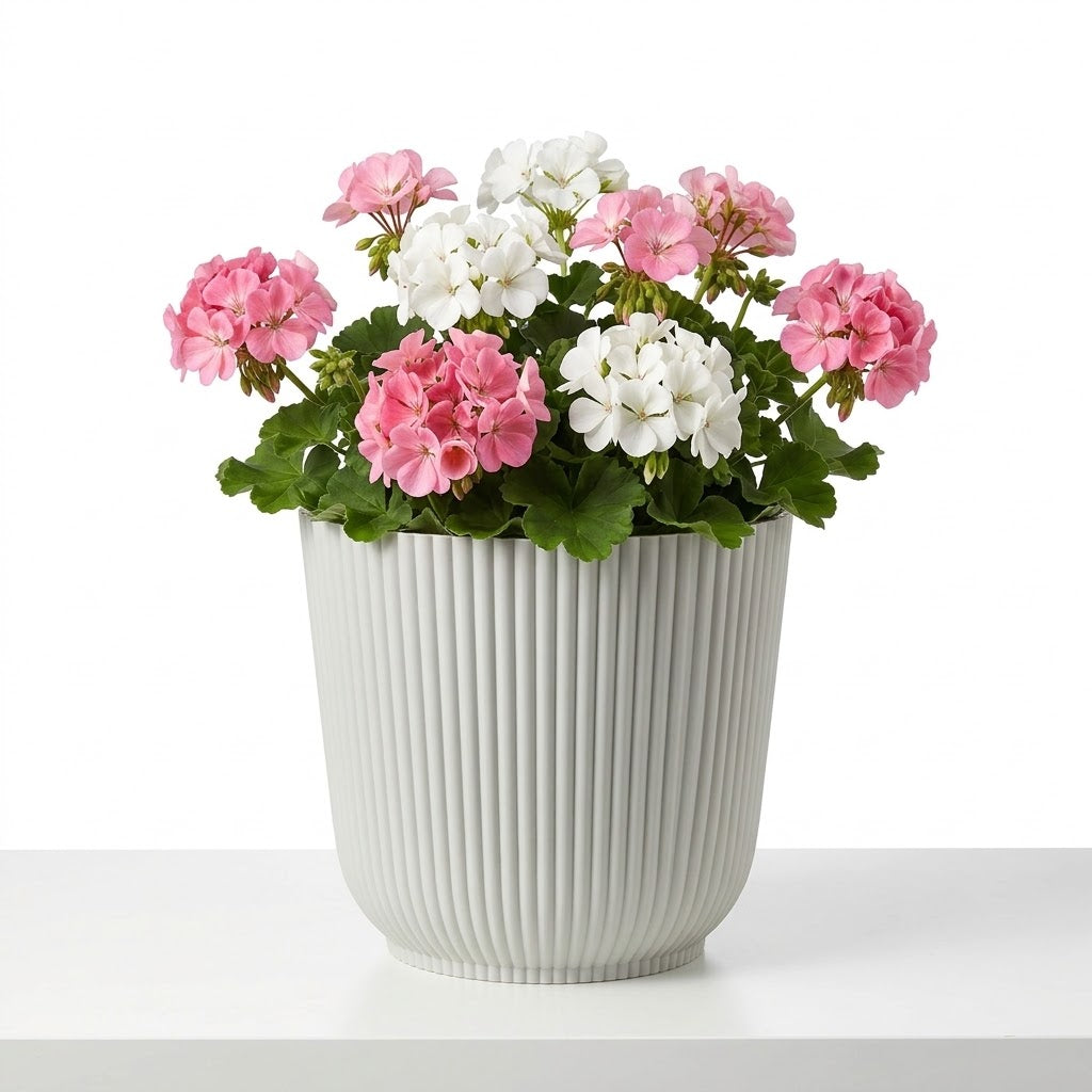Flower Pot Assorted Colours 20x22x22cm 331g SKU 8234